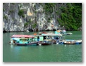Town in Halong Bay